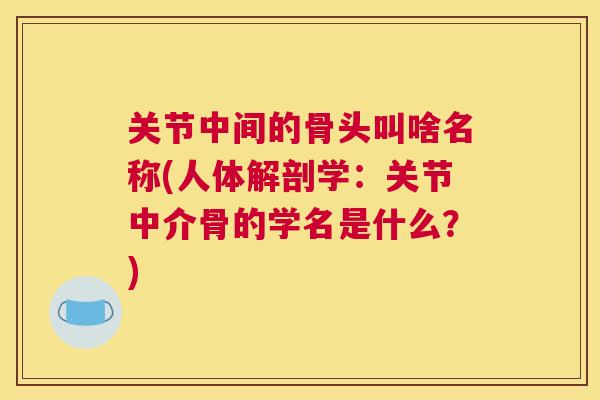关节中间的骨头叫啥名称(人体解剖学：关节中介骨的学名是什么？)