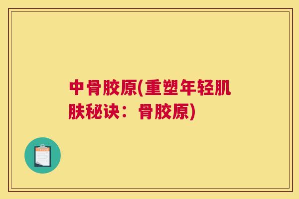 中骨胶原(重塑年轻秘诀:骨胶原) 中骨胶原(重塑年轻秘诀:骨胶原)