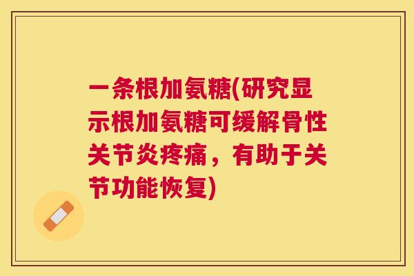 一条根加氨糖(研究显示根加氨糖可缓解骨性关节炎疼痛,有助于关节功能恢复)