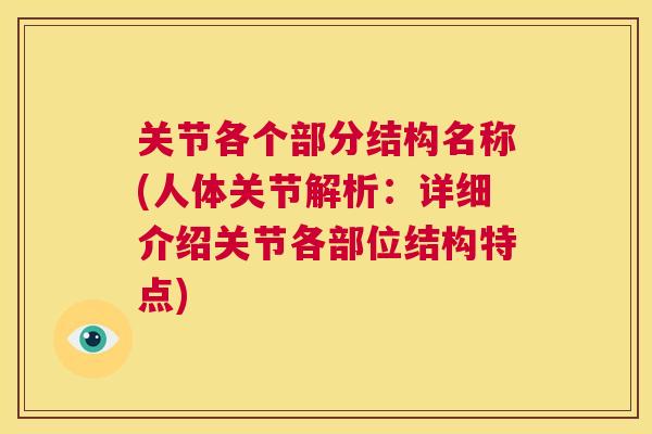 关节各个部分结构名称(人体关节解析:详细介绍关节各部位结构特点)