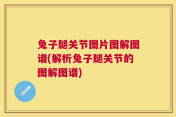 兔子腿关节图片图解图谱(解析兔子腿关节的图解图谱) 兔子腿关节图片图解图谱(解析兔子腿关节的图解图谱)