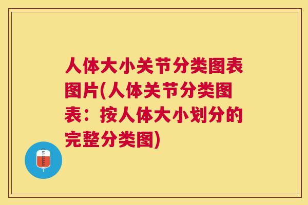 人体大小关节分类图表图片(人体关节分类图表:按人体大小划分的完整分类图) 人体大小关节分类图表图片(人体关节分类图表:按人体大小划分的完整分类图)