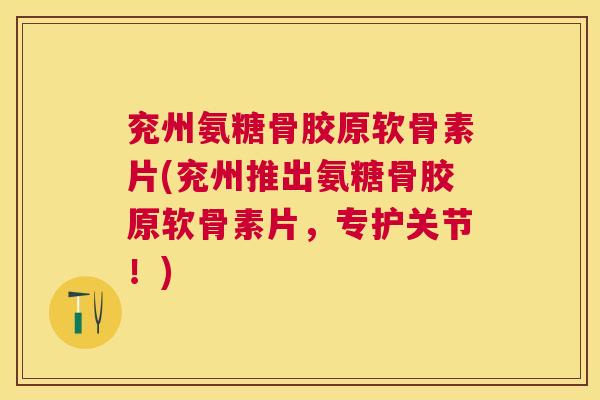 兖州氨糖骨胶原软骨素片(兖州推出氨糖骨胶原软骨素片，专护关节！)