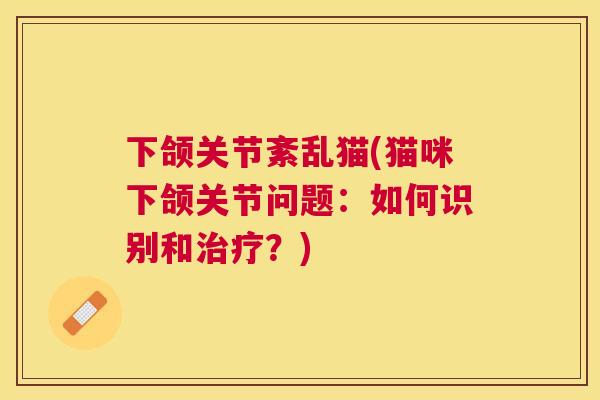 下颌关节紊乱猫(猫咪下颌关节问题:如何识别和治疗?)
