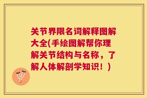 关节界限名词解释图解大全(手绘图解帮你理解关节结构与名称，了解人体解剖学知识！)