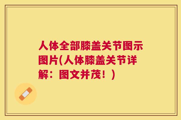 人体全部膝盖关节图示图片(人体膝盖关节详解：图文并茂！)