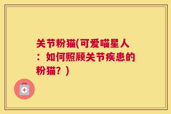 关节粉猫(可爱喵星人:如何照顾关节疾患的粉猫?) 关节粉猫(可爱喵星人:如何照顾关节疾患的粉猫?)