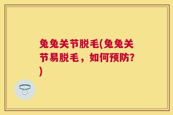 兔兔关节脱毛(兔兔关节易脱毛，如何预防？)