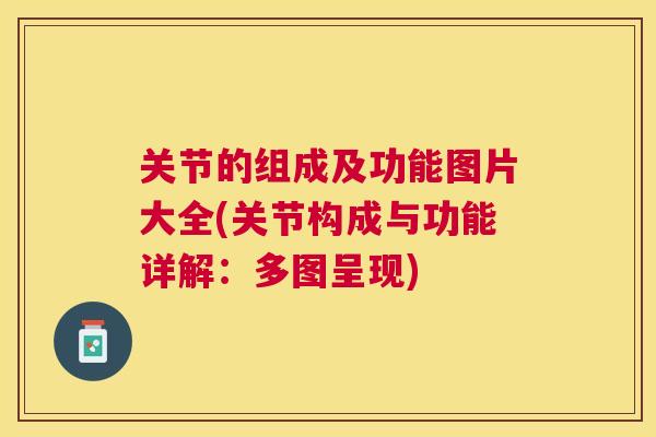 关节的组成及功能图片大全(关节构成与功能详解：多图呈现)