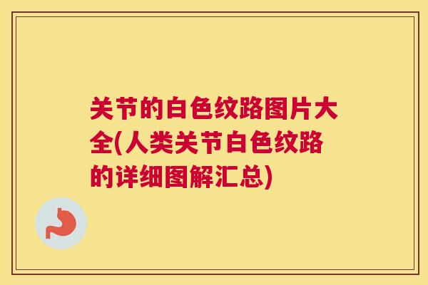 关节的白色纹路图片大全(人类关节白色纹路的详细图解汇总)