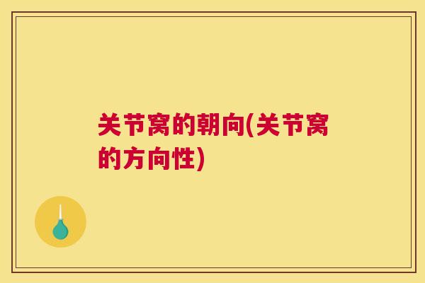 关节窝的朝向(关节窝的方向性)