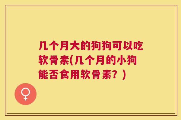 几个月大的狗狗可以吃软骨素(几个月的小狗能否食用软骨素？)