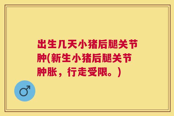出生几天小猪后腿关节肿(新生小猪后腿关节肿胀，行走受限。)