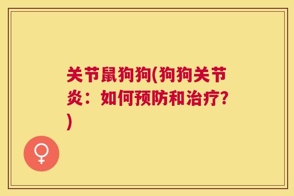 关节鼠狗狗(狗狗：如何和？)