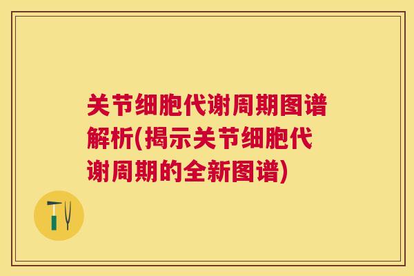 关节细胞代谢周期图谱解析(揭示关节细胞代谢周期的全新图谱)