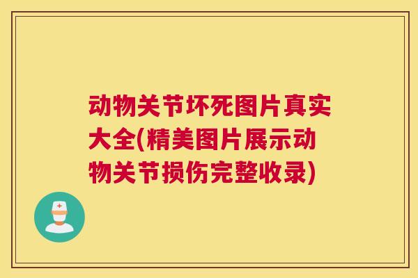 动物关节坏死图片真实大全(精美图片展示动物关节损伤完整收录)
