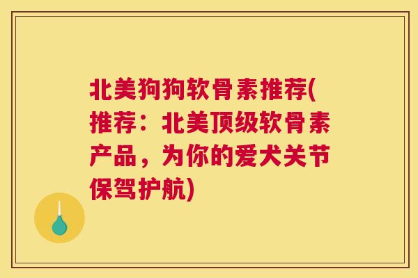 北美狗狗软骨素推荐(推荐：北美顶级软骨素产品，为你的爱犬关节保驾护航)