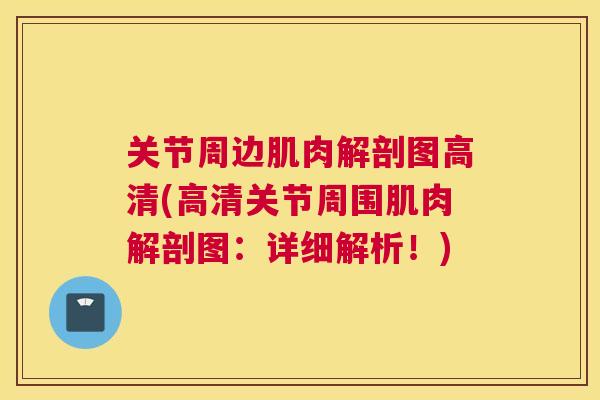 关节周边肌肉解剖图高清(高清关节周围肌肉解剖图：详细解析！)
