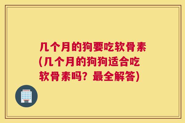 几个月的狗要吃软骨素(几个月的狗狗适合吃软骨素吗?最全解答)