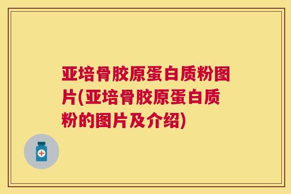 亚培骨胶原蛋白质粉图片(亚培骨胶原蛋白质粉的图片及介绍)