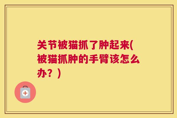 关节被猫抓了肿起来(被猫抓肿的手臂该怎么办?)