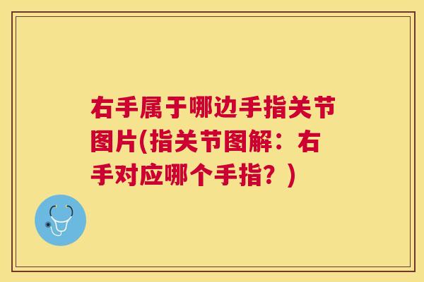 右手属于哪边手指关节图片(指关节图解：右手对应哪个手指？)