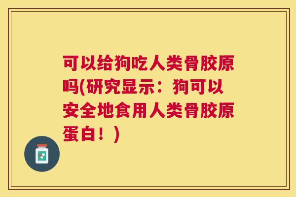 可以给狗吃人类骨胶原吗(研究显示:狗可以安全地食用人类骨胶原蛋白!)