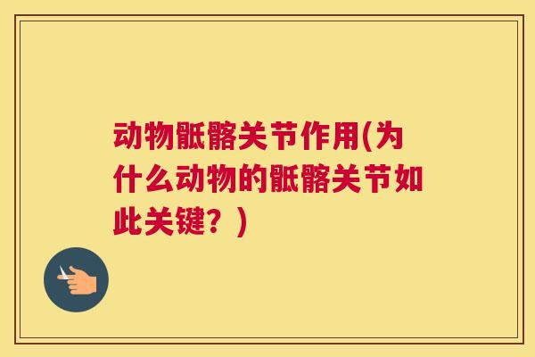 动物骶髂关节作用(为什么动物的骶髂关节如此关键？)