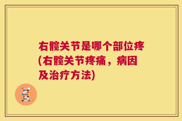 右髋关节是哪个部位疼(右髋关节，因及方法)