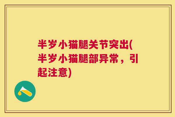 半岁小猫腿关节突出(半岁小猫腿部异常,引起注意) 半岁小猫腿关节突出(半岁小猫腿部异常,引起注意)