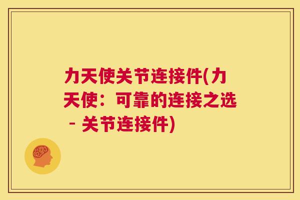 力天使关节连接件(力天使:可靠的连接之选 - 关节连接件)