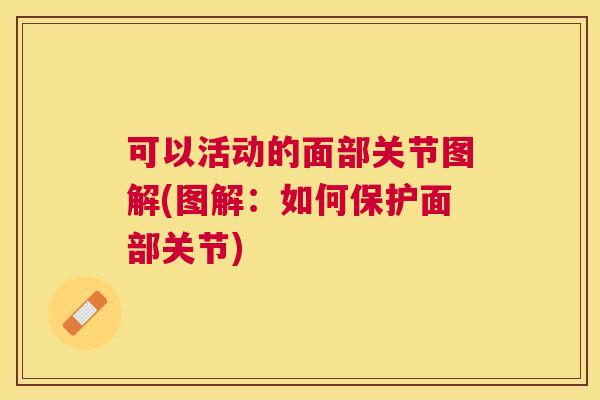 可以活动的面部关节图解(图解：如何保护面部关节)
