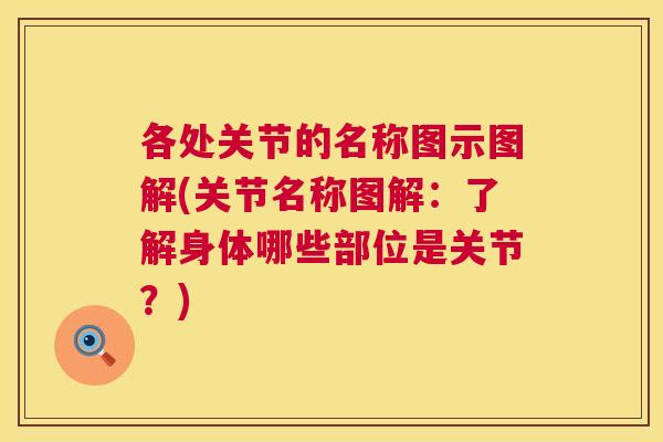 各处关节的名称图示图解(关节名称图解:了解身体哪些部位是关节?)