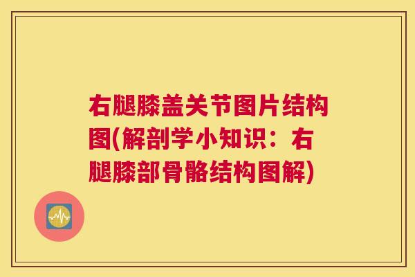 右腿膝盖关节图片结构图(解剖学小知识:右腿膝部骨骼结构图解) 右腿膝盖关节图片结构图(解剖学小知识:右腿膝部骨骼结构图解)