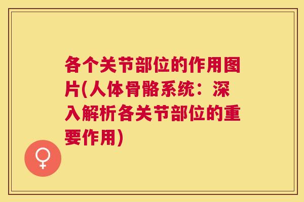 各个关节部位的作用图片(人体骨骼系统:深入解析各关节部位的重要作用) 各个关节部位的作用图片(人体骨骼系统:深入解析各关节部位的重要作用)