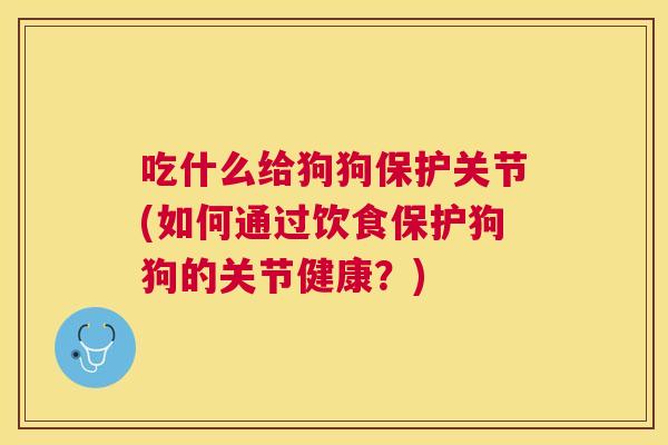 吃什么给狗狗保护关节(如何通过饮食保护狗狗的关节健康?)