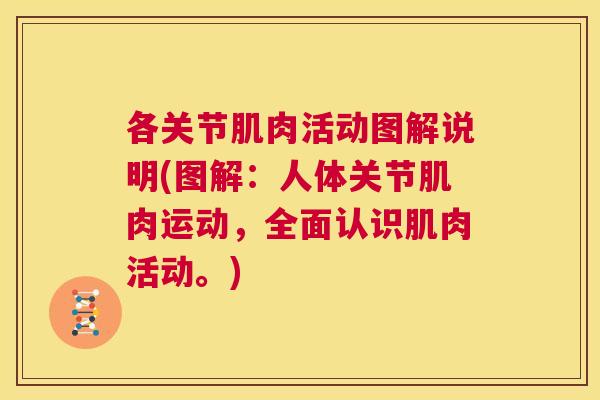 各关节肌肉活动图解说明(图解：人体关节肌肉运动，全面认识肌肉活动。)