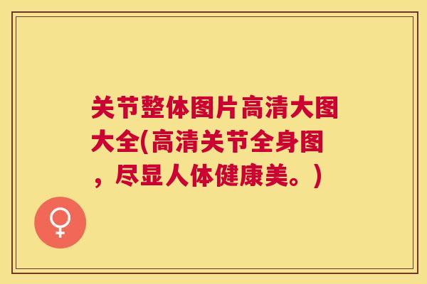 关节整体图片高清大图大全(高清关节全身图,尽显人体健康美。)