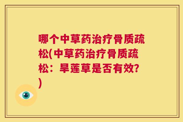 哪个中草药治疗骨质疏松(中草药治疗骨质疏松:旱莲草是否有效?)