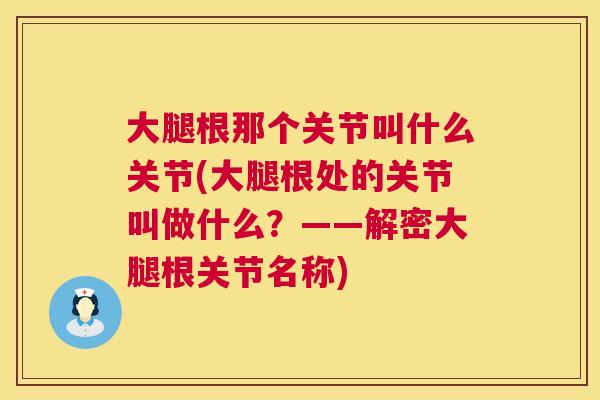 大腿根那个关节叫什么关节(大腿根处的关节叫做什么?——解密大腿根关节名称)