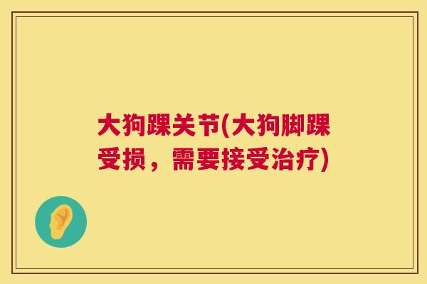 大狗踝关节(大狗脚踝受损,需要接受) 大狗踝关节(大狗脚踝受损,需要接受)