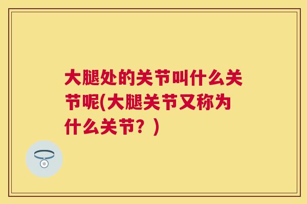 大腿处的关节叫什么关节呢(大腿关节又称为什么关节?)