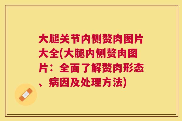 大腿关节内侧赘肉图片大全(大腿内侧赘肉图片：全面了解赘肉形态、病因及处理方法)