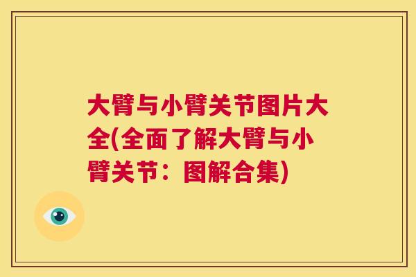 大臂与小臂关节图片大全(全面了解大臂与小臂关节:图解合集)