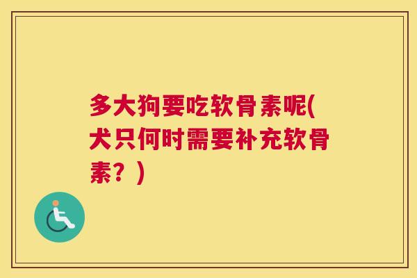 多大狗要吃软骨素呢(犬只何时需要补充软骨素?)