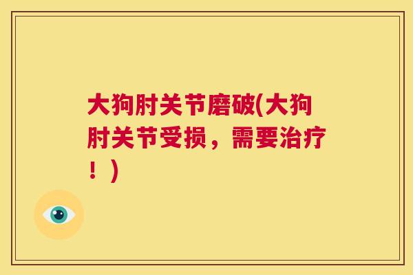 大狗肘关节磨破(大狗肘关节受损,需要!) 大狗肘关节磨破(大狗肘关节受损,需要!)