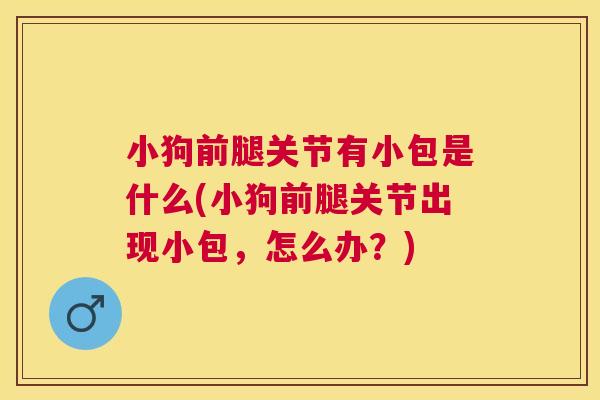 小狗前腿关节有小包是什么(小狗前腿关节出现小包，怎么办？)