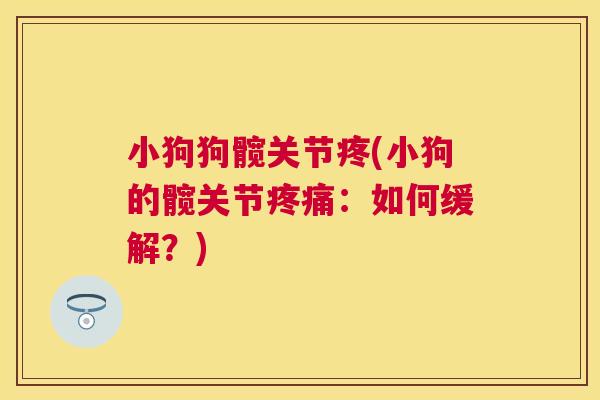 小狗狗髋关节疼(小狗的髋关节:如何缓解?) 小狗狗髋关节疼(小狗的髋关节:如何缓解?)