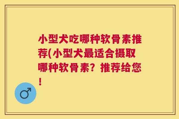 小型犬吃哪种软骨素推荐(小型犬适合摄取哪种软骨素？推荐给您！