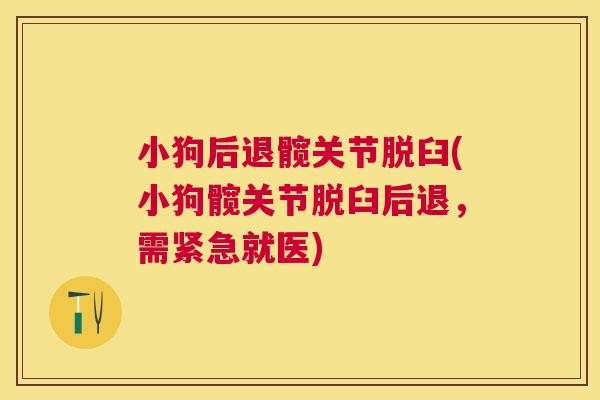 小狗后退髋关节脱臼(小狗髋关节脱臼后退，需紧急就医)